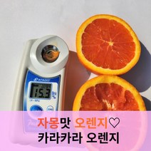 썬키스트 고당도 카라카라 오렌지, 중소과 1kg(5과), 1개