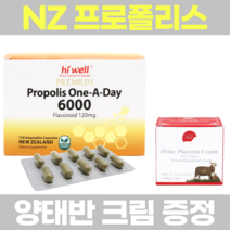 영양제왕 프로폴리스 6000mg 120캡슐 영양제 직구 뉴질랜드 식품 추출물 정 알약 건강식품 분말 가루, 150캡슐, 1개