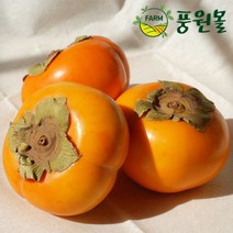 달콤아삭 경남 단감 정품 5KG/10KG, 정품 5kg(30~35)