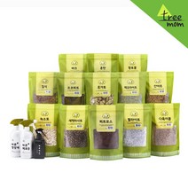트리맘 가든집사 녹소토 피트모스 훈탄 마사토 질석 난석 휴가토 펄라이트, 6_1.다육이볼(1.5L)-소립