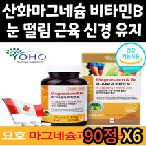 신경 근육 유지 산화 마그네슘 직장인 눈 떨림 영양제 90정 비타민B 건강 기능 식품 스테아린산 알약 30대 40대 50대 60대 70대 노인 중년 시니어 아버지 어머니 어르신