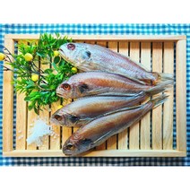 국내산 반건조 백조기 (왕대) 3마리