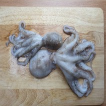 정말 통통한 냉동 통통 알 쭈꾸미 1kg ( 8~10미 내외) 고소함의 끝판왕 신선 배송, 1개