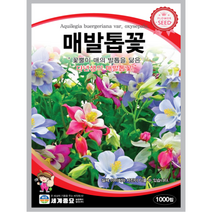 매발톱꽃 씨앗 1000립 꽃씨