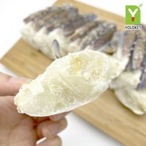욜로켓 절단 꽃게 500g, [Y95] 튀니지절단꽃게 500g