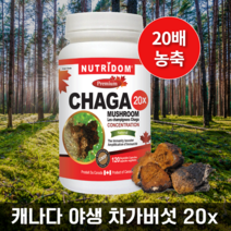 뉴트리돔 차가버섯 20배농축 캐나다산 야생재배 120베지캡슐, 1개