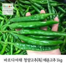 바르다야채 국내산 청양고추(특) 1kg (매운고추)(특품), 1개
