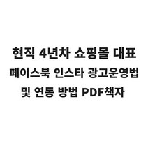 PDF 이커머스 SNS 인스타 페이스북 스토리 퍼모먼스 온라인 전문가 광고 마케팅 책자