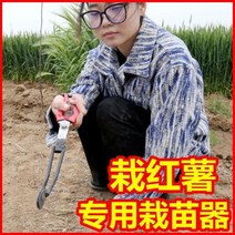농업용기계 경운기 트렉터 고구마 이식기 모종 재배자 유물 농업 도구 작은 기계 심기 씨앗 감자 이식 111338, 고구마 파종기 10개