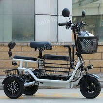 3륜 전기 자전거 성인용 어르신 출퇴근 배달, G. 8Ah약20km