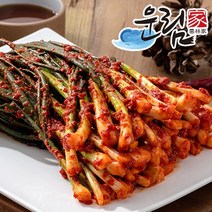 [운림가] 53년전통 수제 100% 국내산 전라도 쪽 파김치, 파김치 5kg