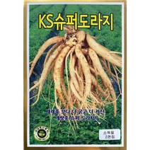 KS슈퍼도라지 도라지씨앗 2천립