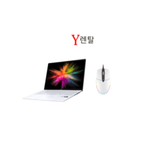 LG그램 17인치 노트북렌탈 단기 대여 렌트 노트북, 30일 렌탈, 17Z90N, 코어i5, 256GB, 16GB, WIN10 Home