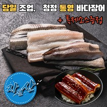 바다장어 붕장어 아나고 직접 잡아 올린 자연산 통영 산지 직송 바다장어 1kg (2~3미), 바다장어(붕장어) 1kg  2~5미(소스증정)