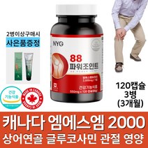캐나다 수입 엠에스엠 MSM 2000 mg 상어연골 글루코사민 운동 선수 어깨 손목 발목 허리 무릎 팔꿈치 조인트 관절 영양제 정제 msn 함량높은 제품 식 약 처 인증, 3병