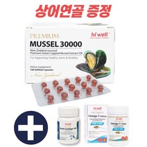 하이웰 초록입홍합오일 30000 120캡슐 초록홍합오일, 단품, 본품+사은품