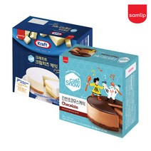 냉동 카페스노우 케이크 2종(크래프트크림치즈 진한초코무스 택)디저트 미니케익 간식, 냉동 진한초코무스 케이크 480g