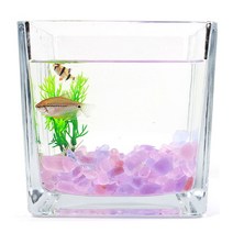 핑크 퍼플 컬러 돌 유리 자갈 250g 어항 꾸미기 구피 물고기키우기-72394EA*141mm, 믹스퍼플돌