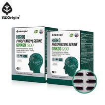 [엔젯오리진] 하이큐 포스파티딜세린 징코 1200(1000mg X 60캡슐) X 2통, 상세설명 참조, 없음