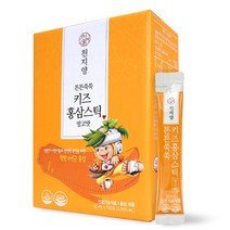 천지양 튼튼쑥쑥 키즈홍삼스틱 망고맛 100포, 1000ml, 1박스