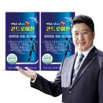 배한호 원장의 명작 콘드로이친 2개월분 2박스 120정, 단품, 2개