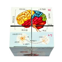 인체 큐브퍼즐 5명 set RS1, 단품