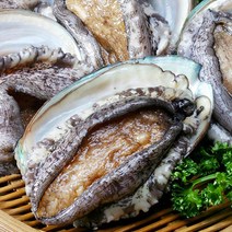 남도장터 해미원 완도 전복 1kg 8~9미 고급 선물용 초복 중복 말복 복날 보양식, 8마리