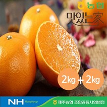 제주농협 귤로장생 천혜향 4kg2kg+2kg, 없음