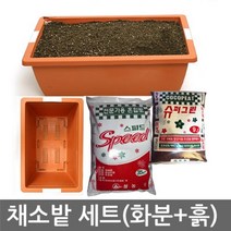 닐스샵_ 허그바디필로 레몬짜기 레몬즙짜는기계 전선정리 문딸랑이 허그바디필로우 _neills, 닐스샵_ 채소밭세트(미니텃밭 분갈이 채소 씨앗), 닐스샵_ 채소밭2호B타입