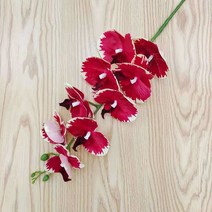 돈다발 행운 개업 플라워 꽃 난 호접란 조화 knsC1025, 105cm, 호접란19