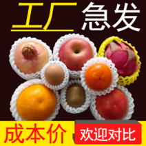 과일 완충재 배 옷 뽁뽁이 사과 과일 그리드 스티로폼 포장패드 감귤, 노란색 + 보통17X7약300개개