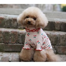 온나뷰 강아지 앵두 티셔츠, 핑크