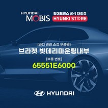현대모비스 브라켓 밧데리마운팅내부 (65551E6000), 1개