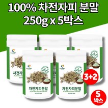 100% 인도산 차전자피 차 과립 질경이 차 씨앗 데일리 식이섬유 섬유질 화이버 자전차피 차전자 가루 분말 파우더, 5박스, 5개