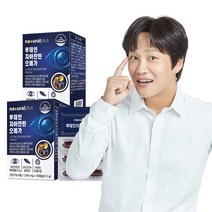 내츄럴플러스 차태현 루테인 지아잔틴 오메가3 30캡슐 / 빌베리 비타민B 비타민E 아연 눈건강, 2박스