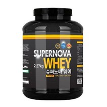 드림스토리 슈퍼노바 웨이 게이너 프로틴 ISP 단백질 헬스 WPC 근육 보충제 다이어트 쉐이크 2.27kg, 1통
