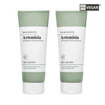 브링그린 사철쑥 약산성 클렌징폼 더블기획(200ml+200ml), 250ml