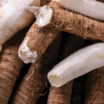 횡성 햇더덕 중 사이즈 500g, 단일옵션