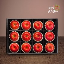 (롯데백화점)(장길영사과) 사과 VIP 선물세트 왕특대과(12과) (예약상품 2023.01.10 부터 발송)
