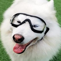 강아지 고글 선글라스 자외선 UV 차단 반려견 대형 강아지고글 고양이고글 도글라스 애견고글 도글스 냥글라스, 중대형 고글