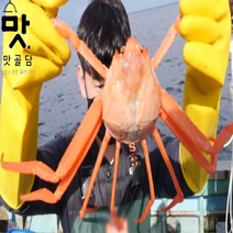 감동수산 대게 동해 포항 제철 자숙 홍게 선주직송 박달 게 영덕대게, 2.가성비 홍게 10마리