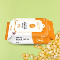 잘풀리는집 (퓨리팜) 손소독티슈 20매 의약외품 (제품 리뉴얼), 4팩