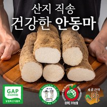 국내산 안동 장마 2kg 5kg 산지직송 햇마 생마 알뜰 가정용 중품 상품 특품 참마