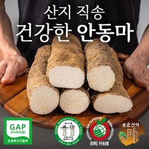 국내산 안동 장마 2kg 5kg 산지직송 햇마 생마 알뜰 가정용 중품 상품 특품 참마, 특상