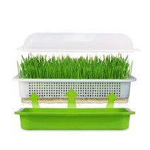 콩나물 키우기 시루 재배기 무순 수경재배 포트 Tray Germination Growing Kit Grower Sprouting Sprouter, 01 Green