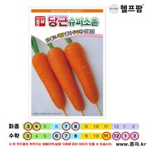 헬프팜 슈퍼소촌당근 3g 당근씨 씨앗 종자 아시아종묘