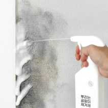 청소도감 뿌리는 곰팡이제거제 400ml 1개, 단품