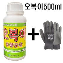 오복이500ml 유황규산비료 포도 샤인머스켓 고추 배추 병해충 예방 비료 유기농 약 모두싹 복합비료, 1병