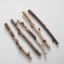 나뭇가지 자작 나무가지 마크라메 행잉 데코 소품 diy 20cm, 두꺼운타입(지름1-1.5cm)