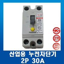태성전기 산업용 누전차단기 TCE 32h-2P 30A, 1개